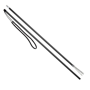 Picture of POLE SPEAR