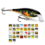 Picture of GRP SUPER SHAD RAP SSR14