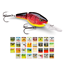 Picture of GRP JOINTED SHAD RAP 5
