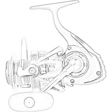 Picture for category SPINNING REELS