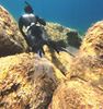 Picture of UP GHOST FINS