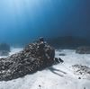 Picture of UP GHOST FINS
