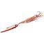 Picture of PIRATE JIG 170gr GOLD ORANGE
