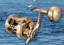 Picture of REEL BASARA 2021 200 L